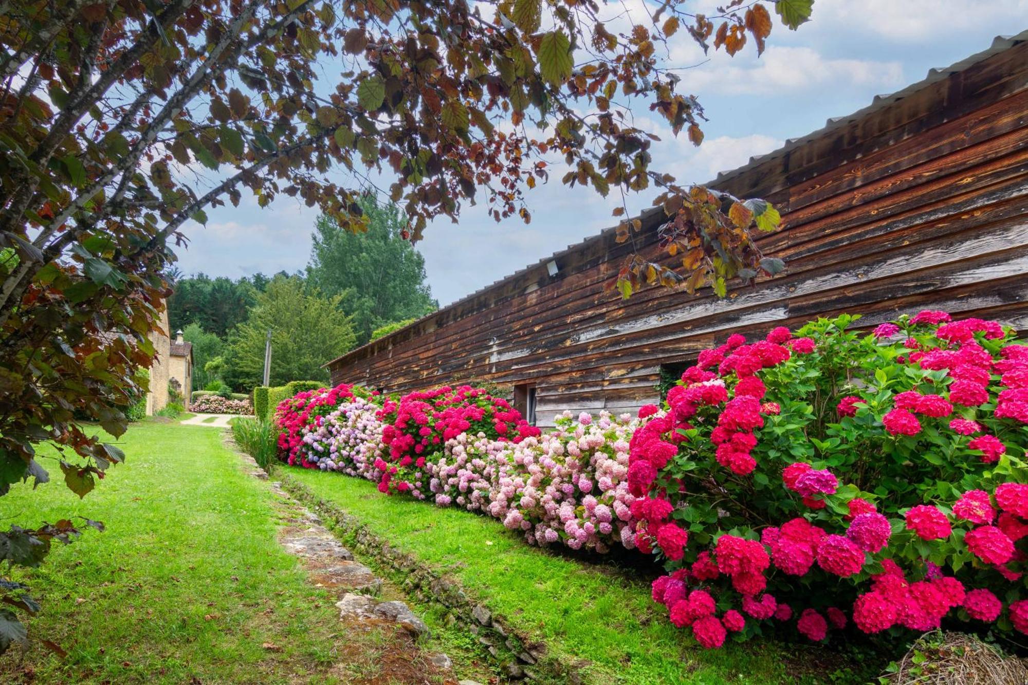 Le Clos Vallis Sarlat-la-Caneda Exterior photo